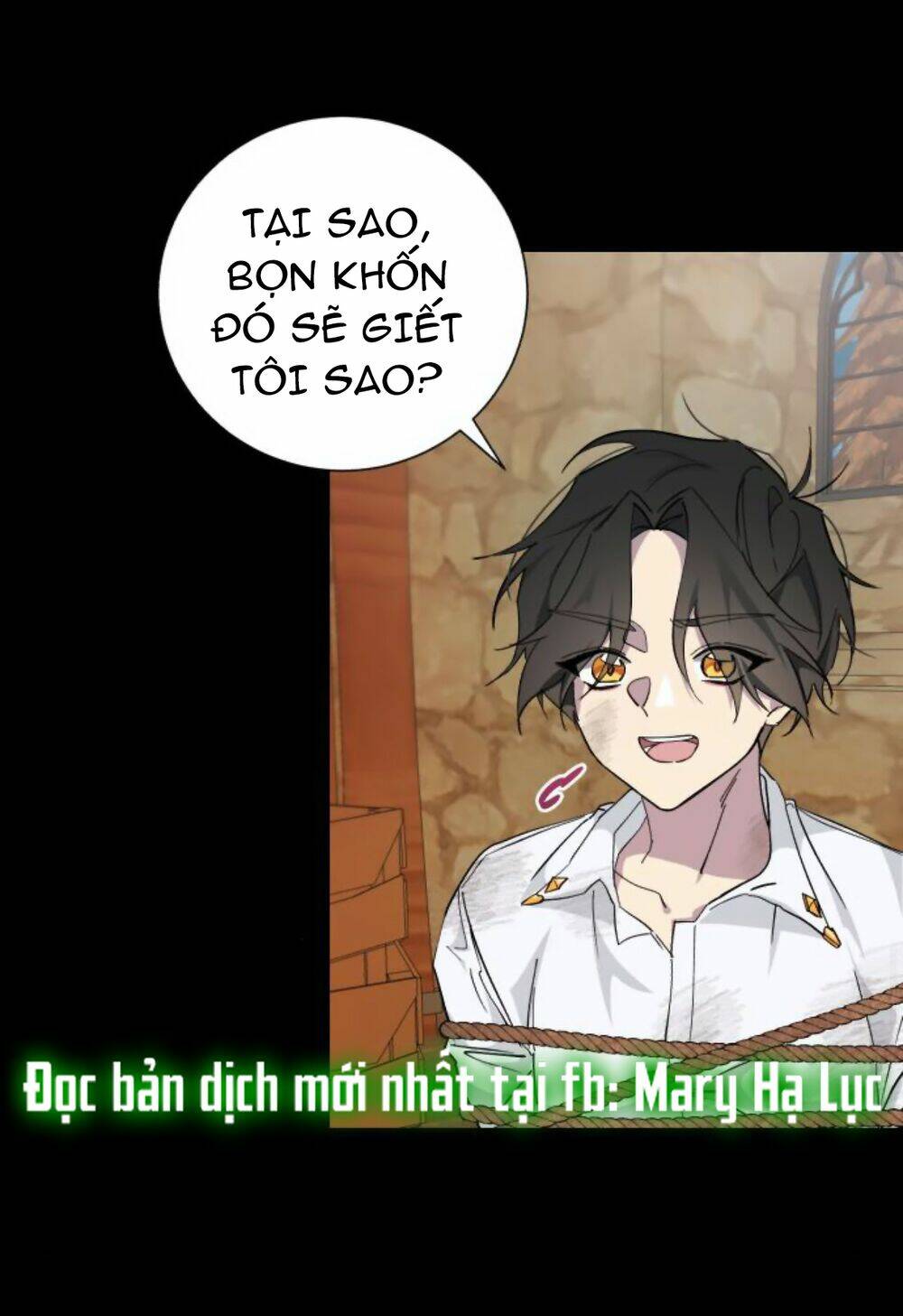 page_29.jpg
