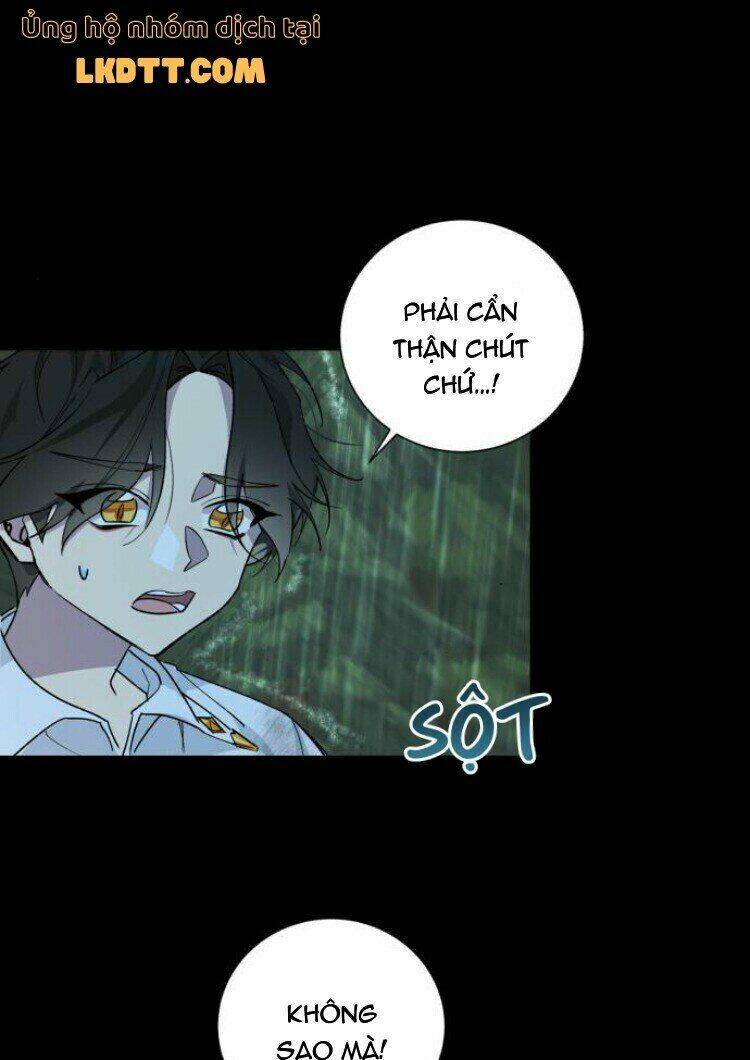 page_24.jpg