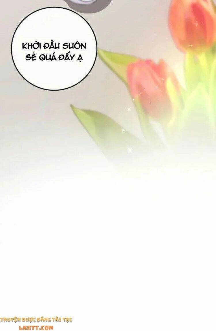 page_20.jpg