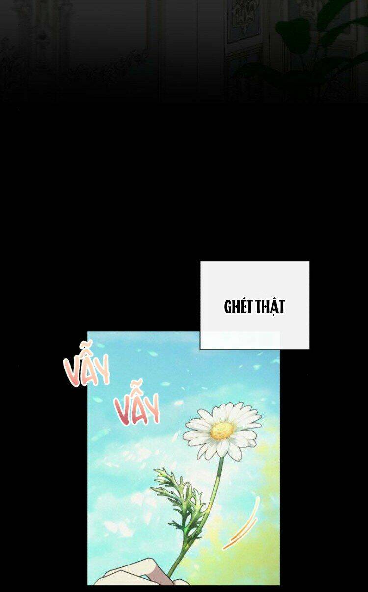 page_41.jpg