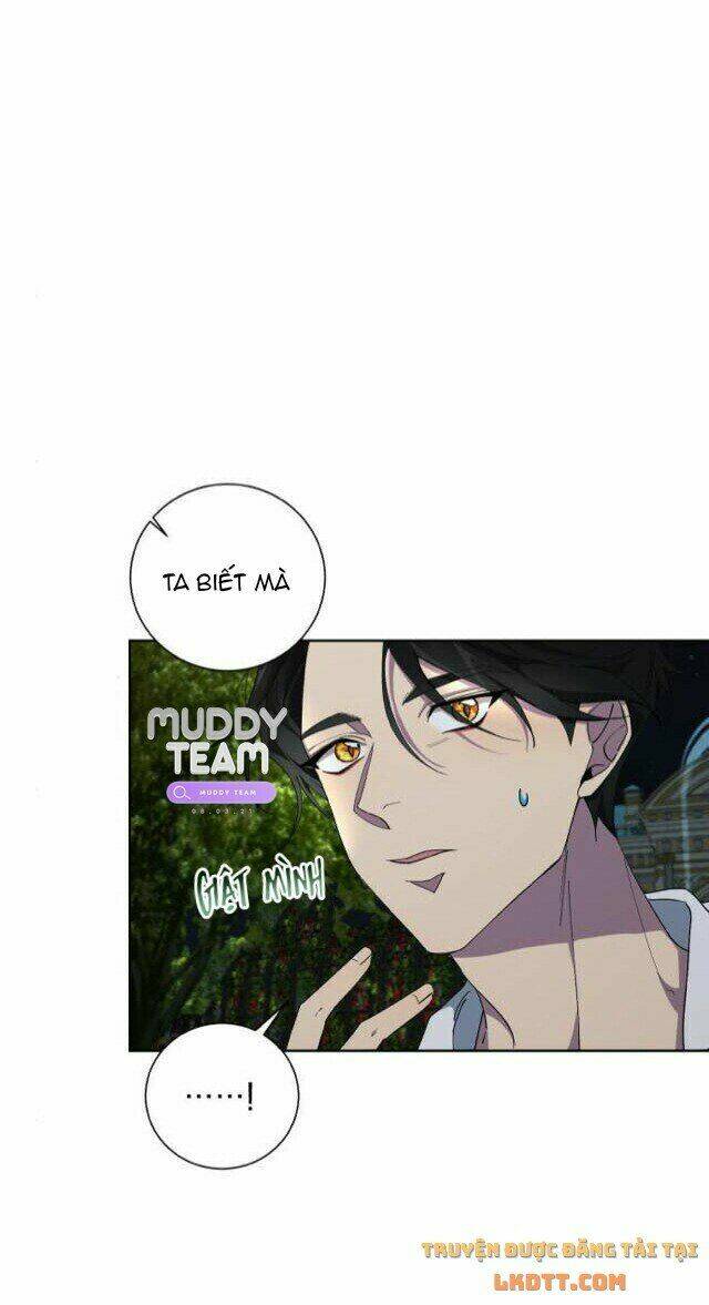 page_34.jpg