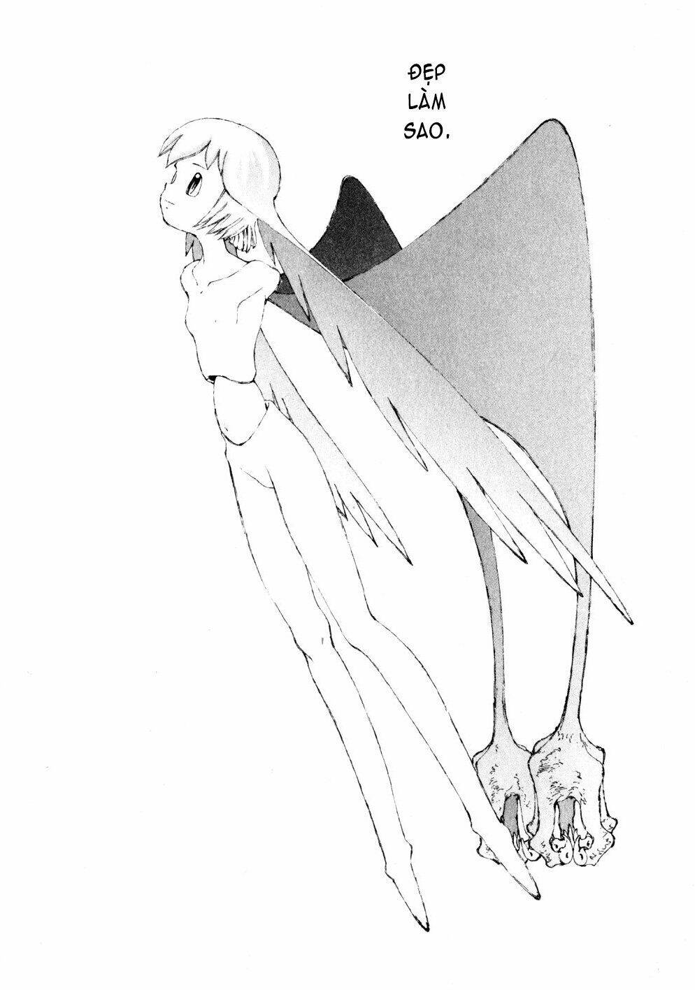 page_31.jpg