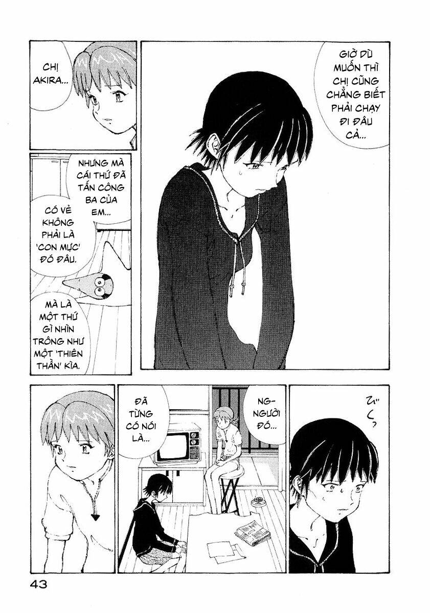 page_7.jpg