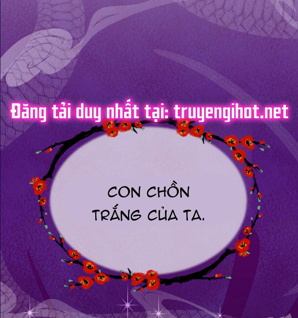 page_26.jpg