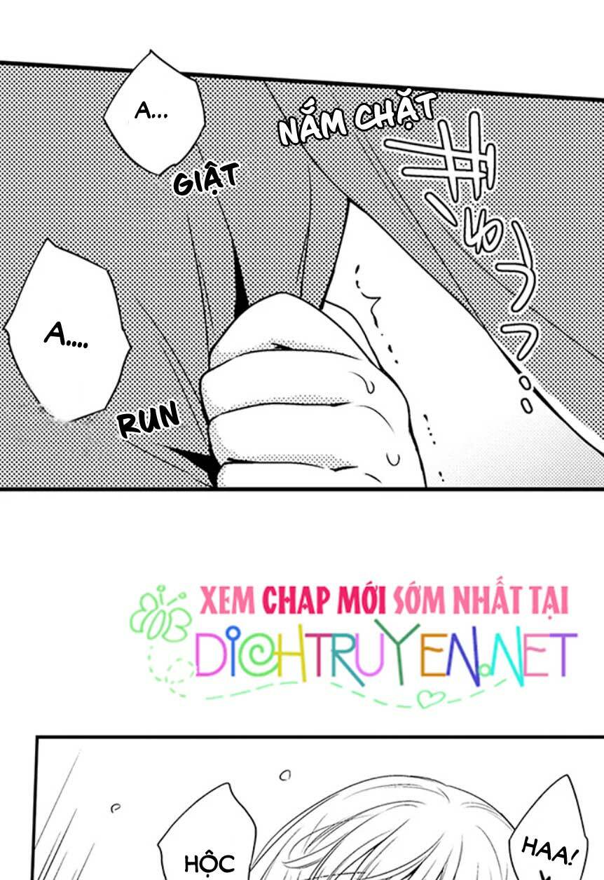 page_13.jpg