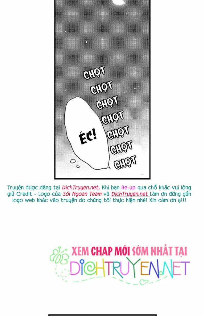 page_41.jpg