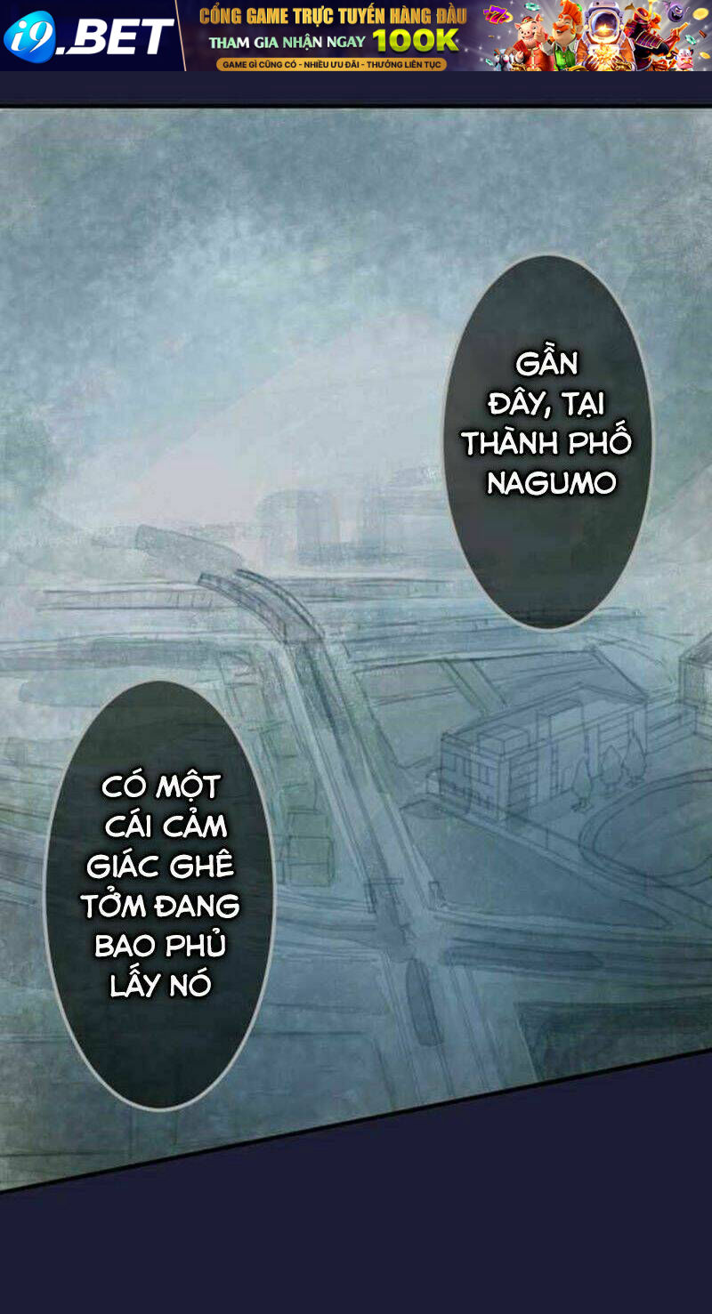 page_29.jpg