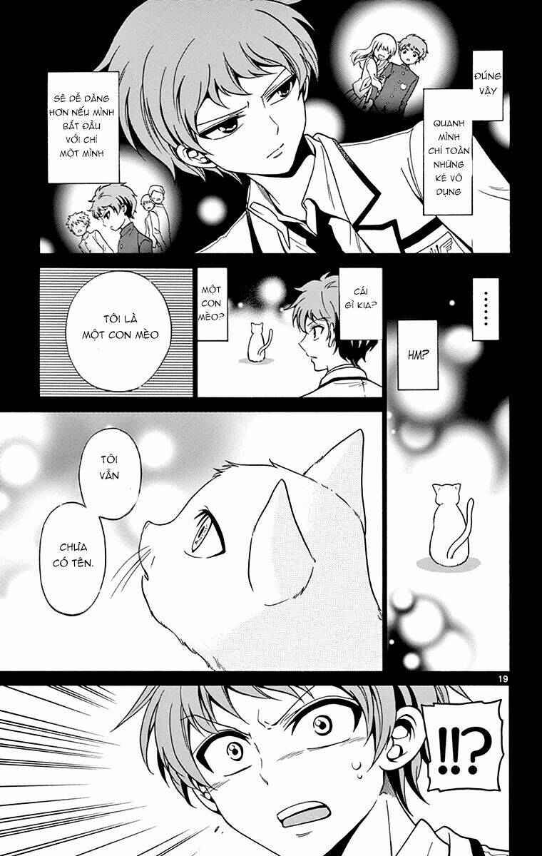 page_19.jpg
