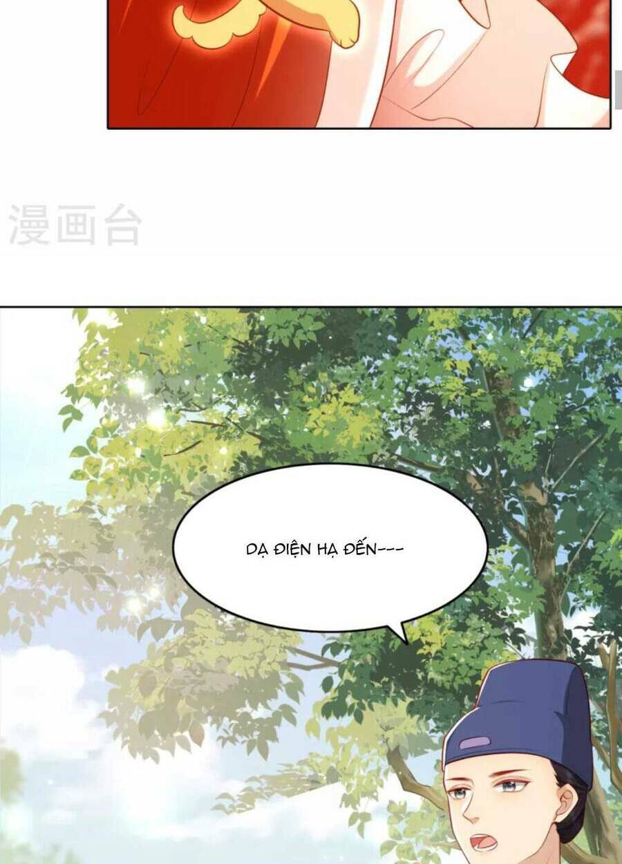 page_19.jpg