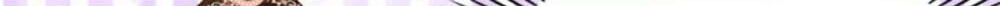 page_25.jpg