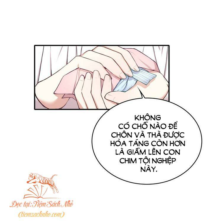 page_26.jpg