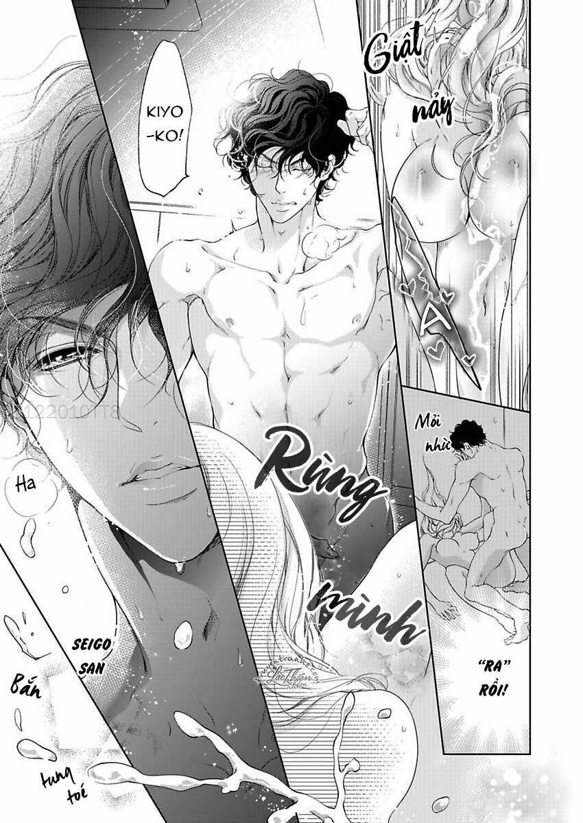 page_17.jpg