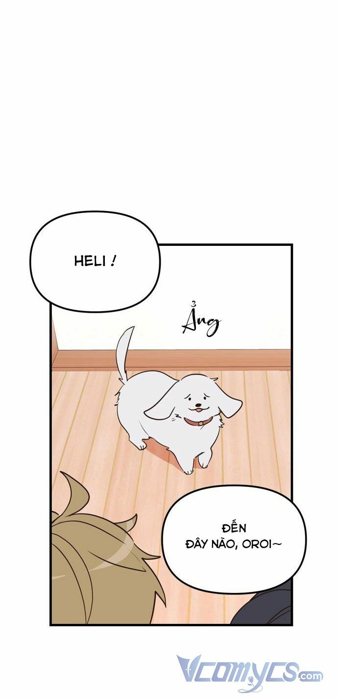 page_72.jpg