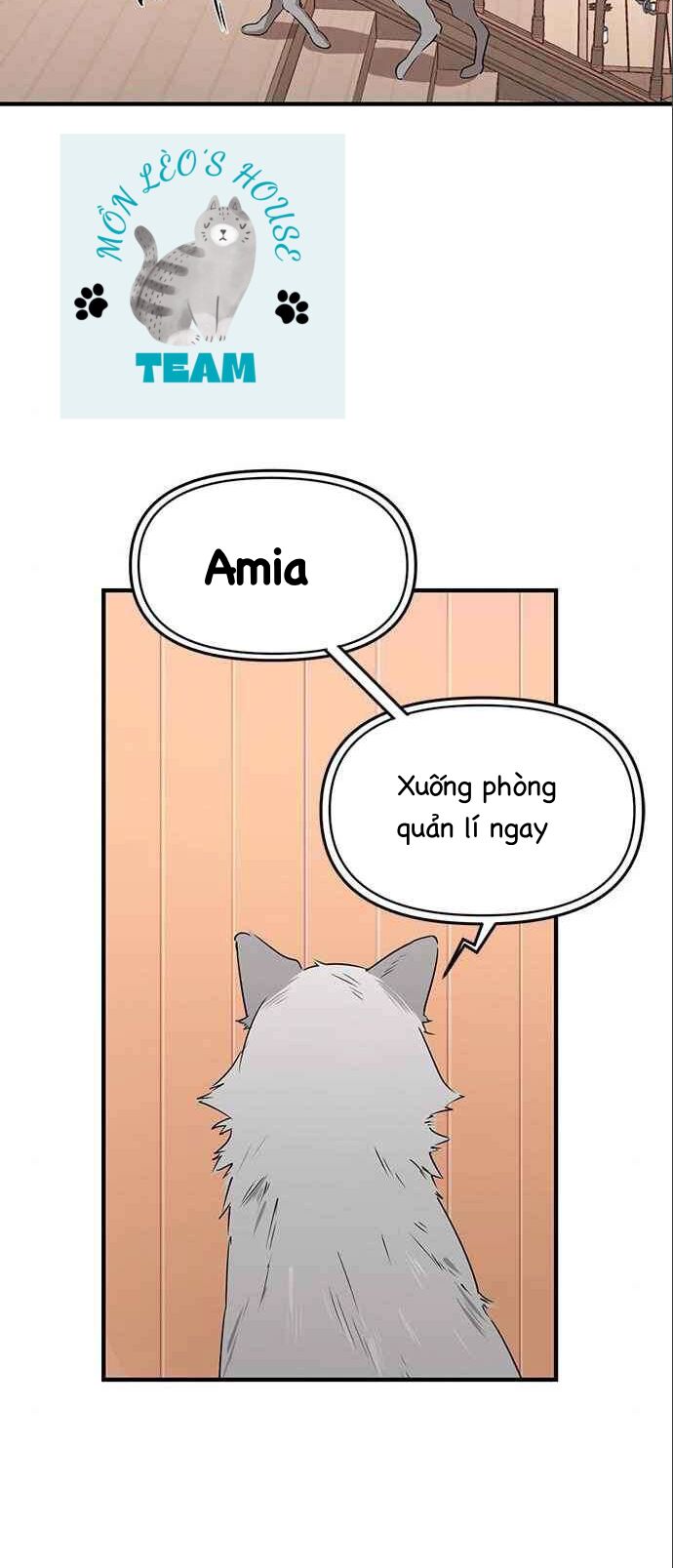 page_59.jpg