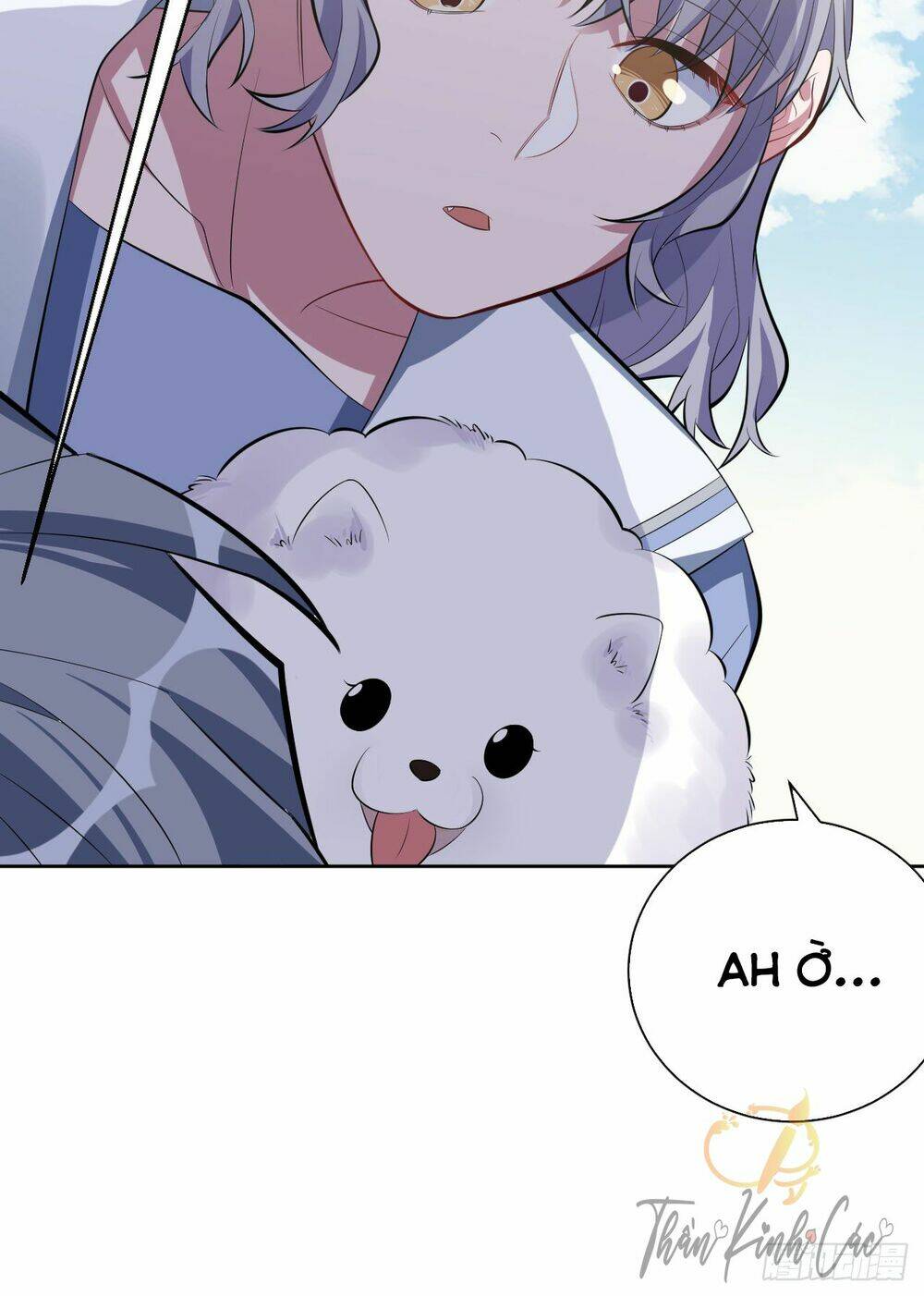 page_30.jpg