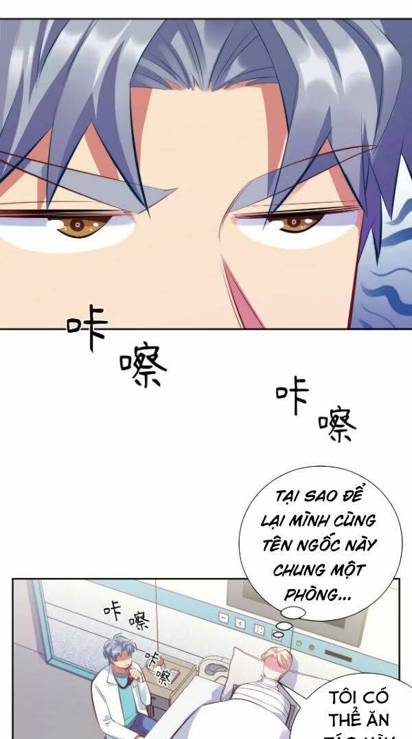 page_19.jpg