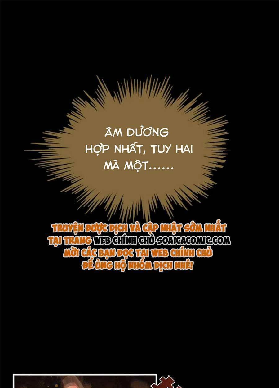 page_35.jpg