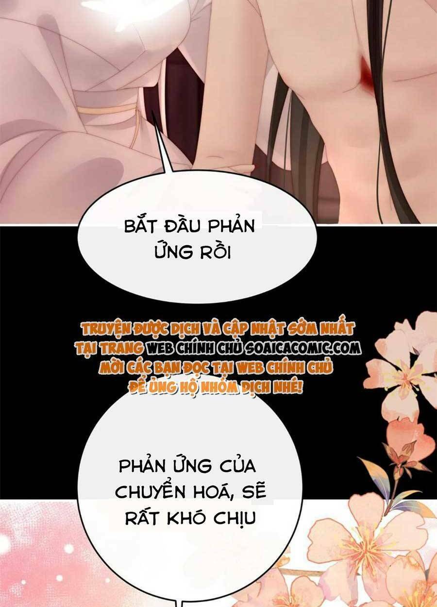 page_39.jpg