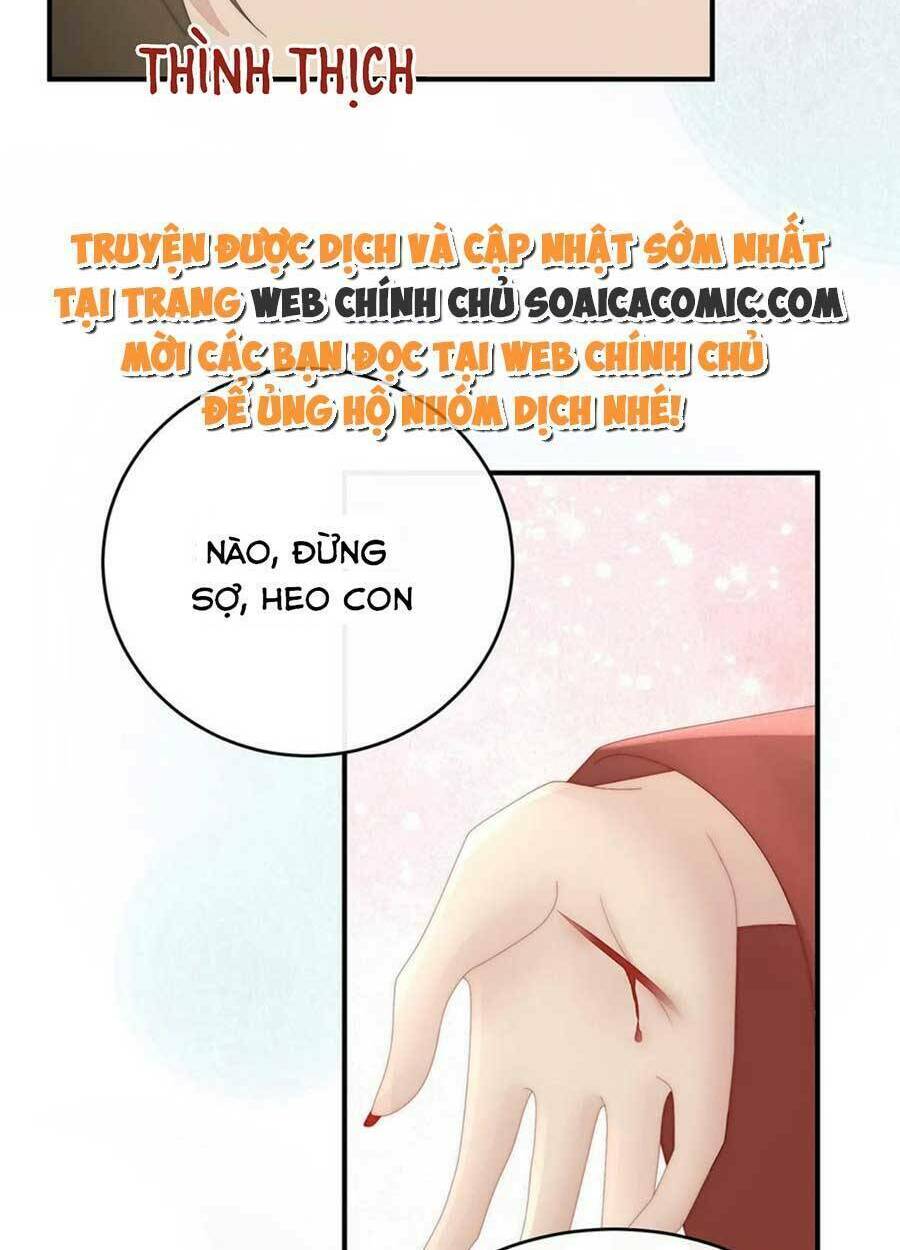 page_46.jpg