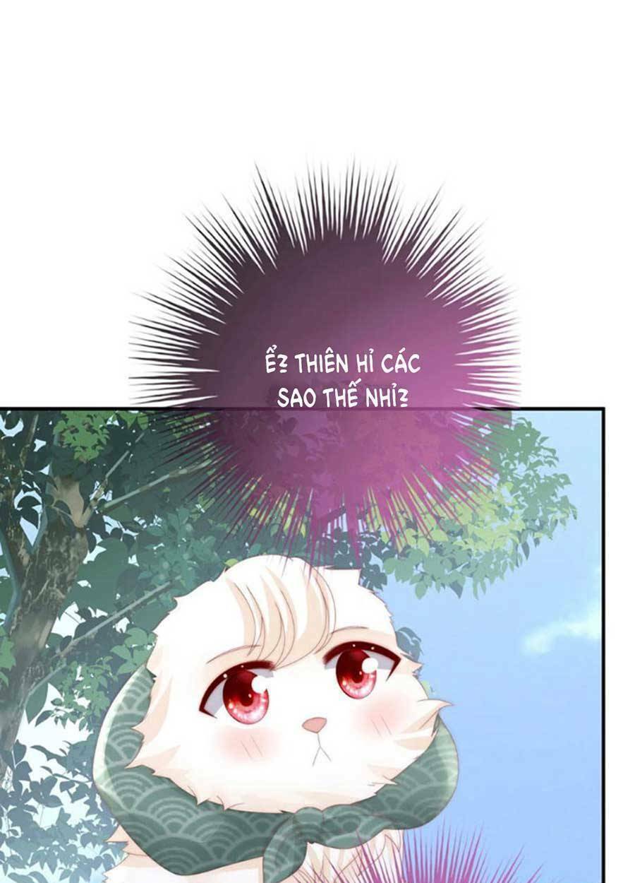 page_44.jpg