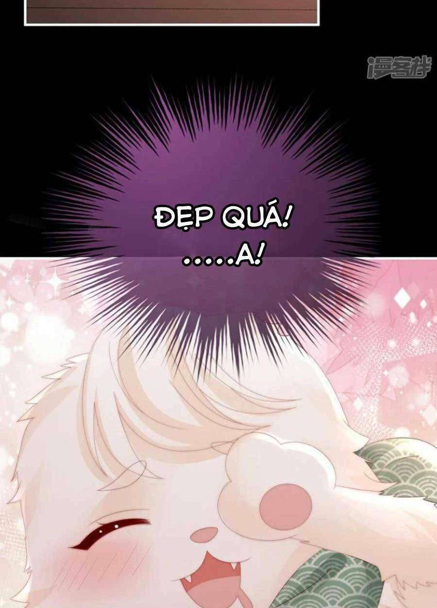 page_28.jpg