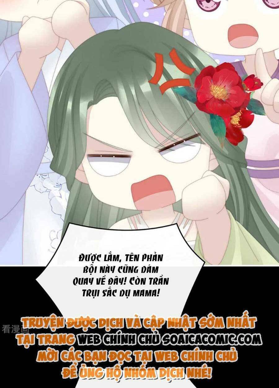 page_11.jpg