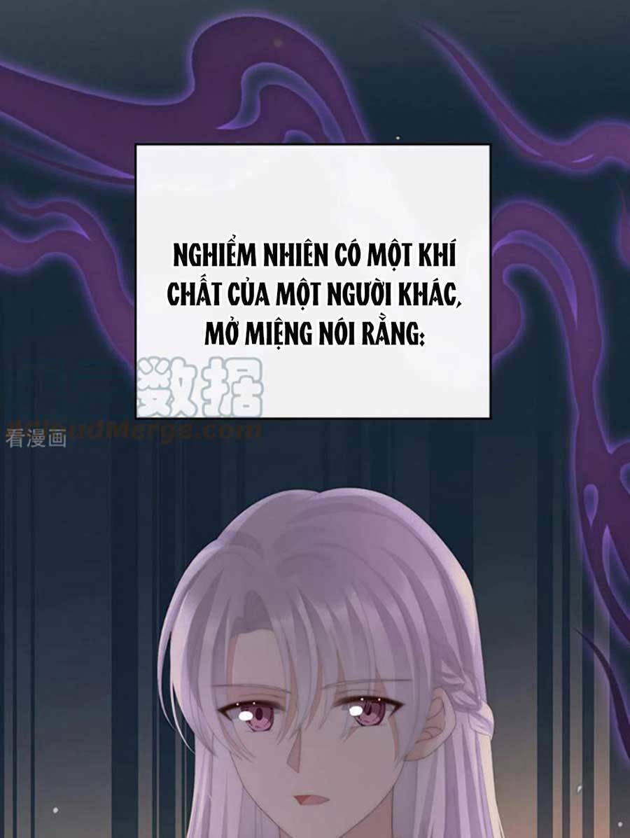 page_13.jpg
