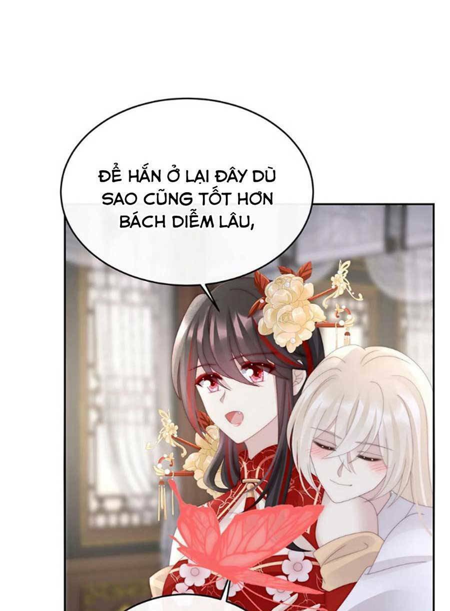 page_29.jpg