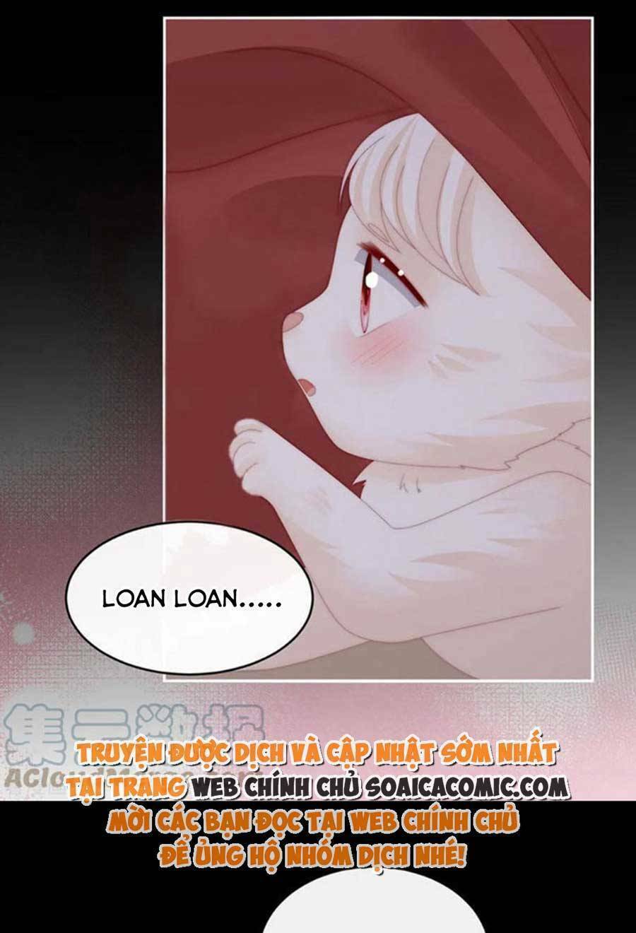 page_47.jpg