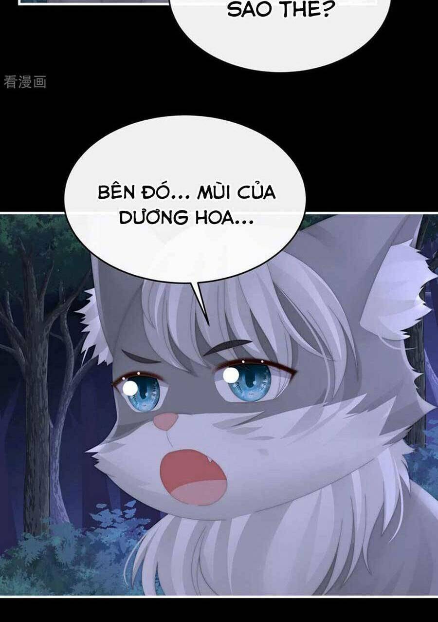 page_35.jpg