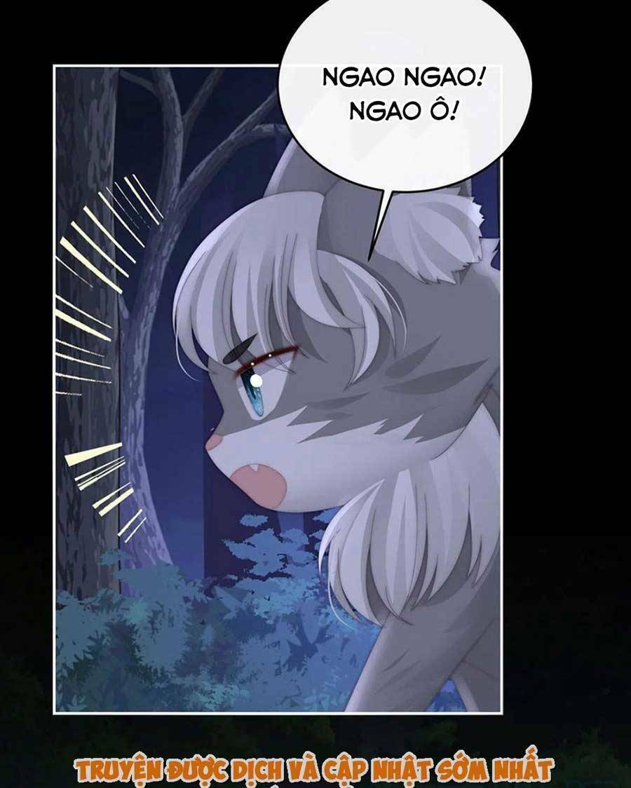 page_44.jpg