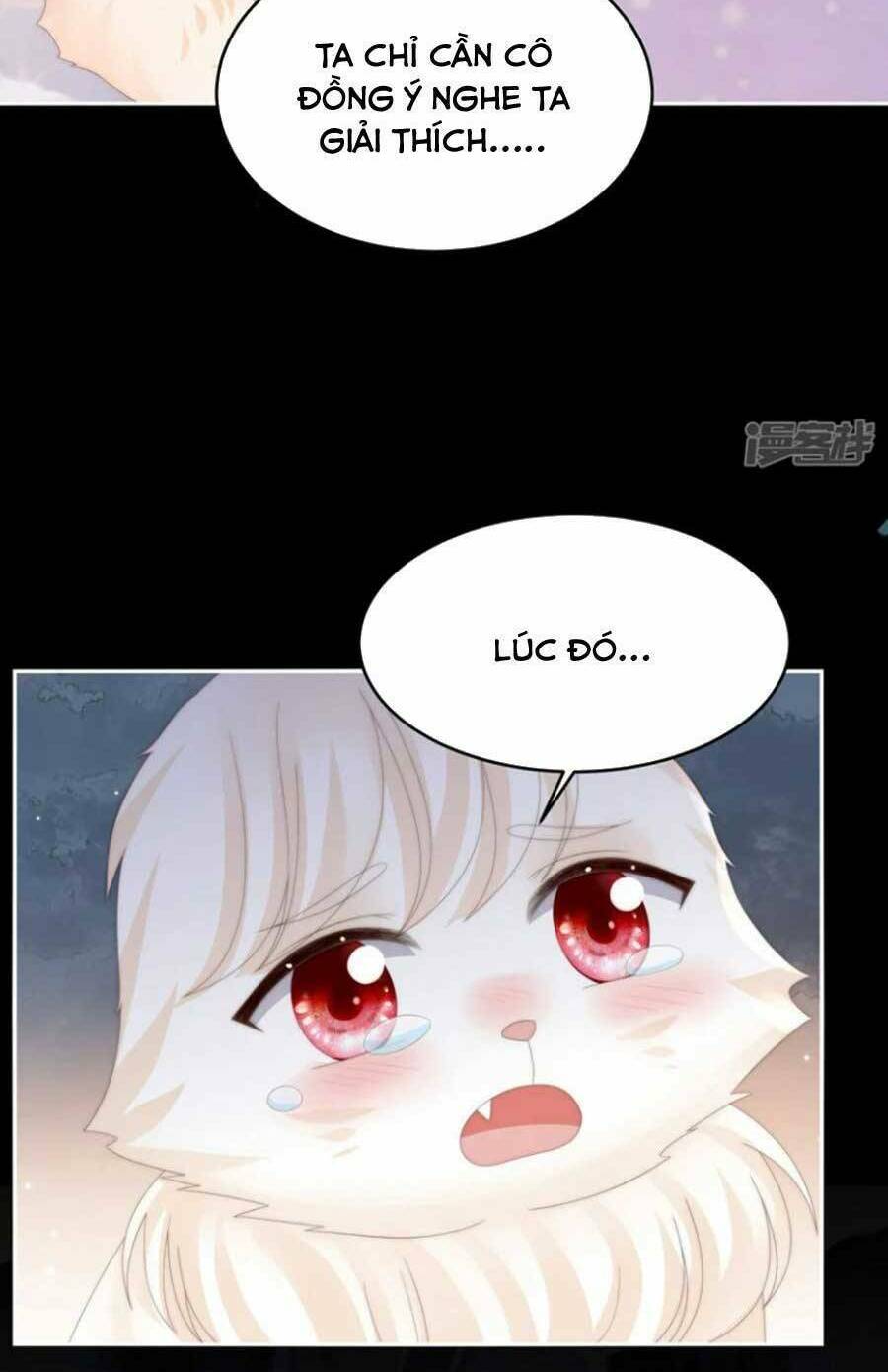 page_20.jpg