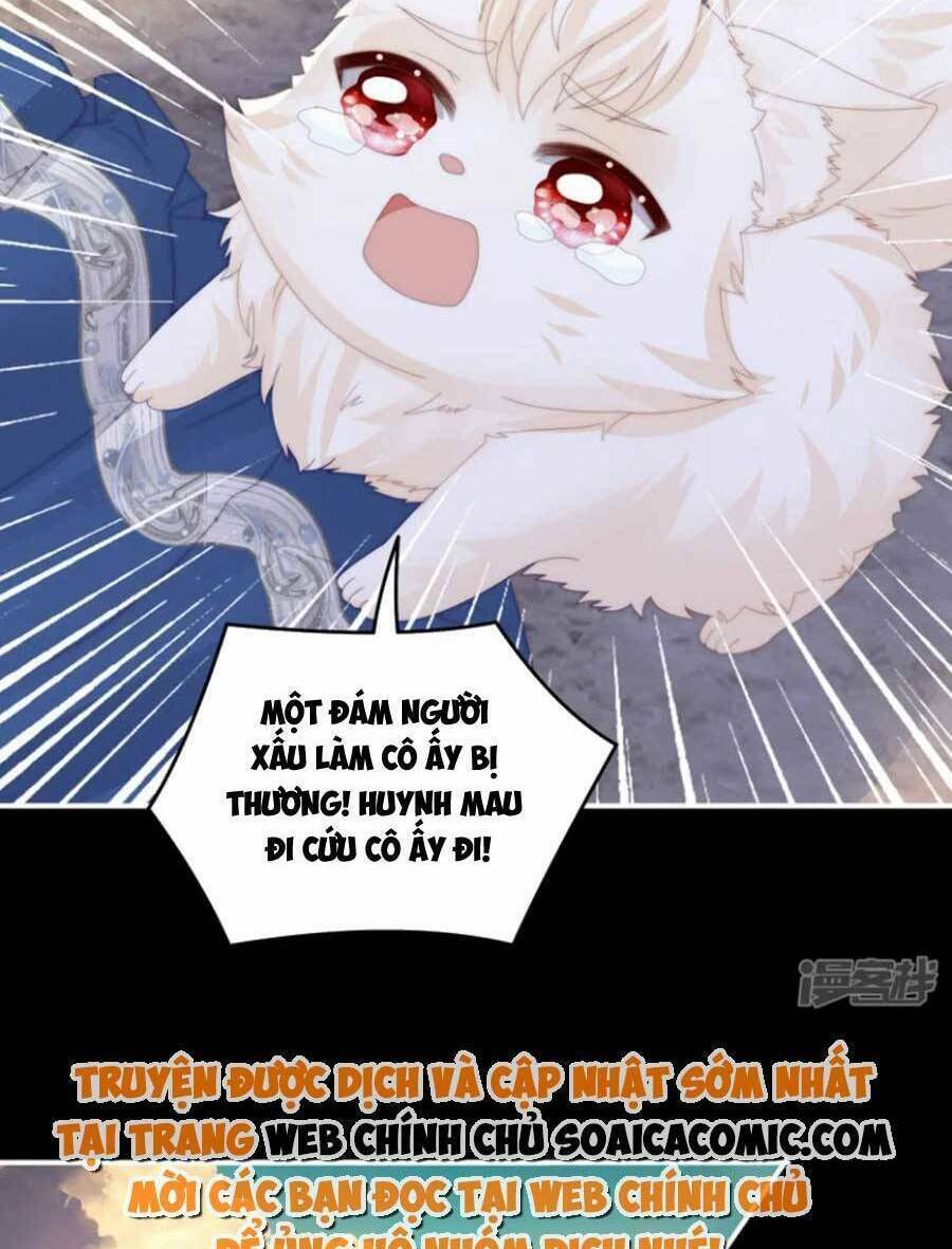 page_41.jpg