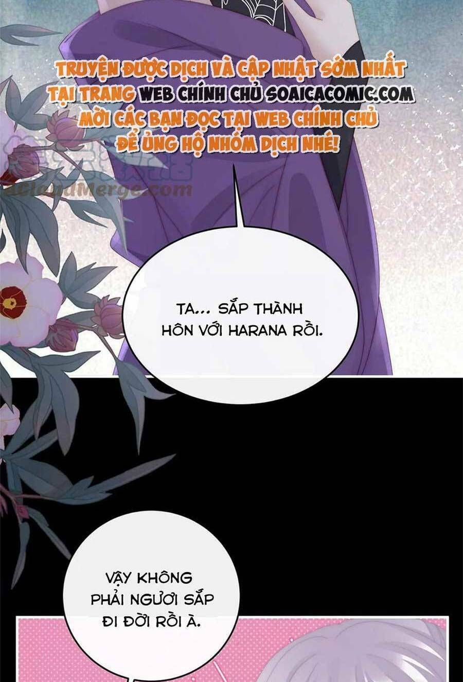 page_27.jpg