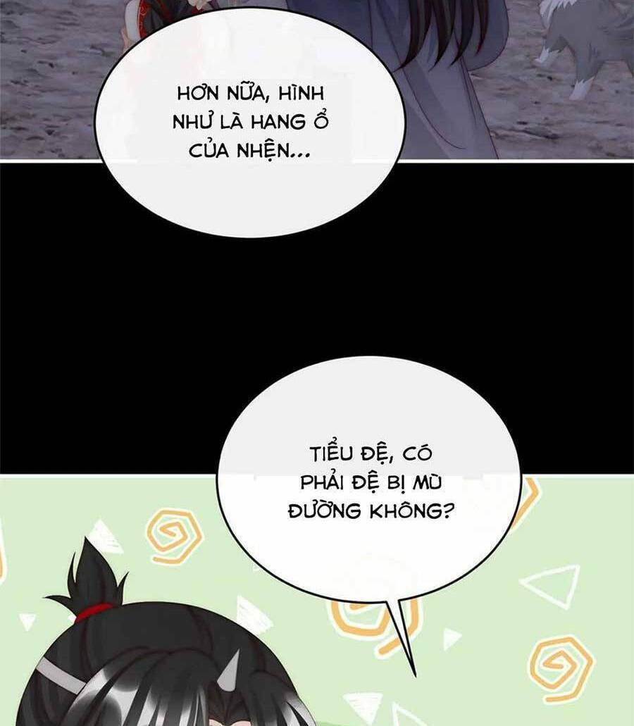 page_5.jpg