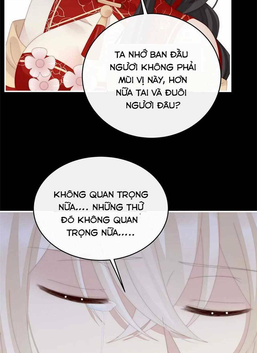 page_55.jpg