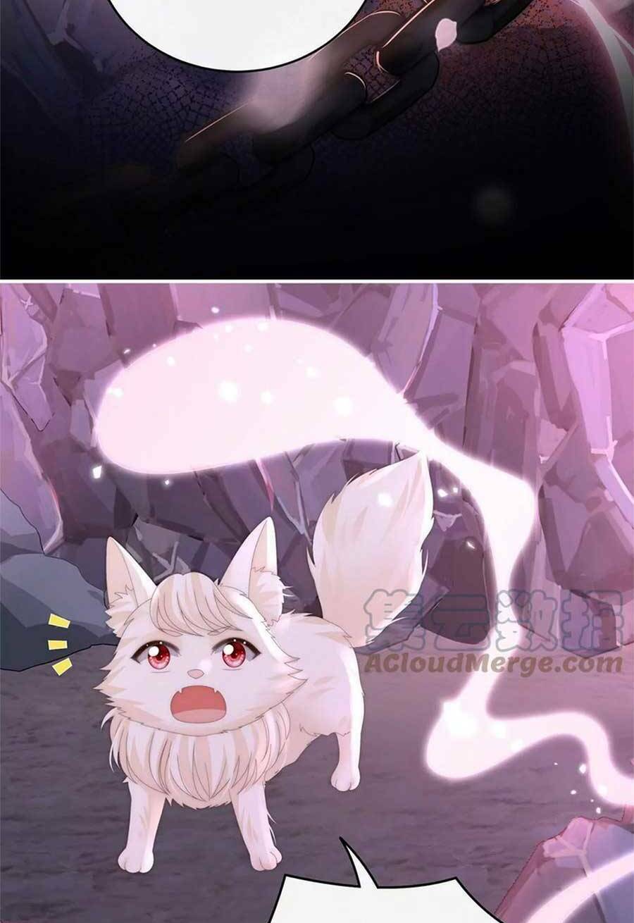 page_43.jpg