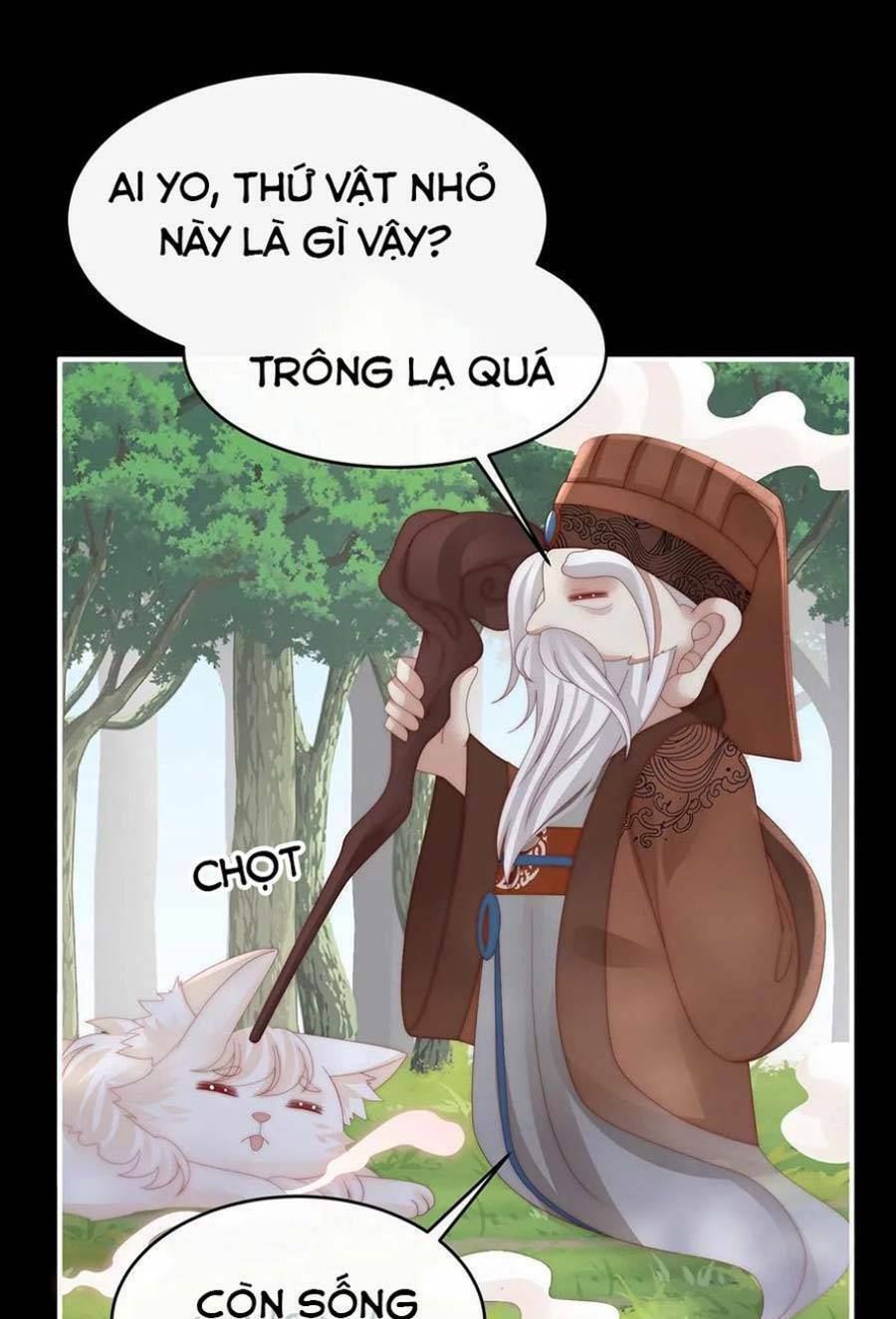 page_13.jpg