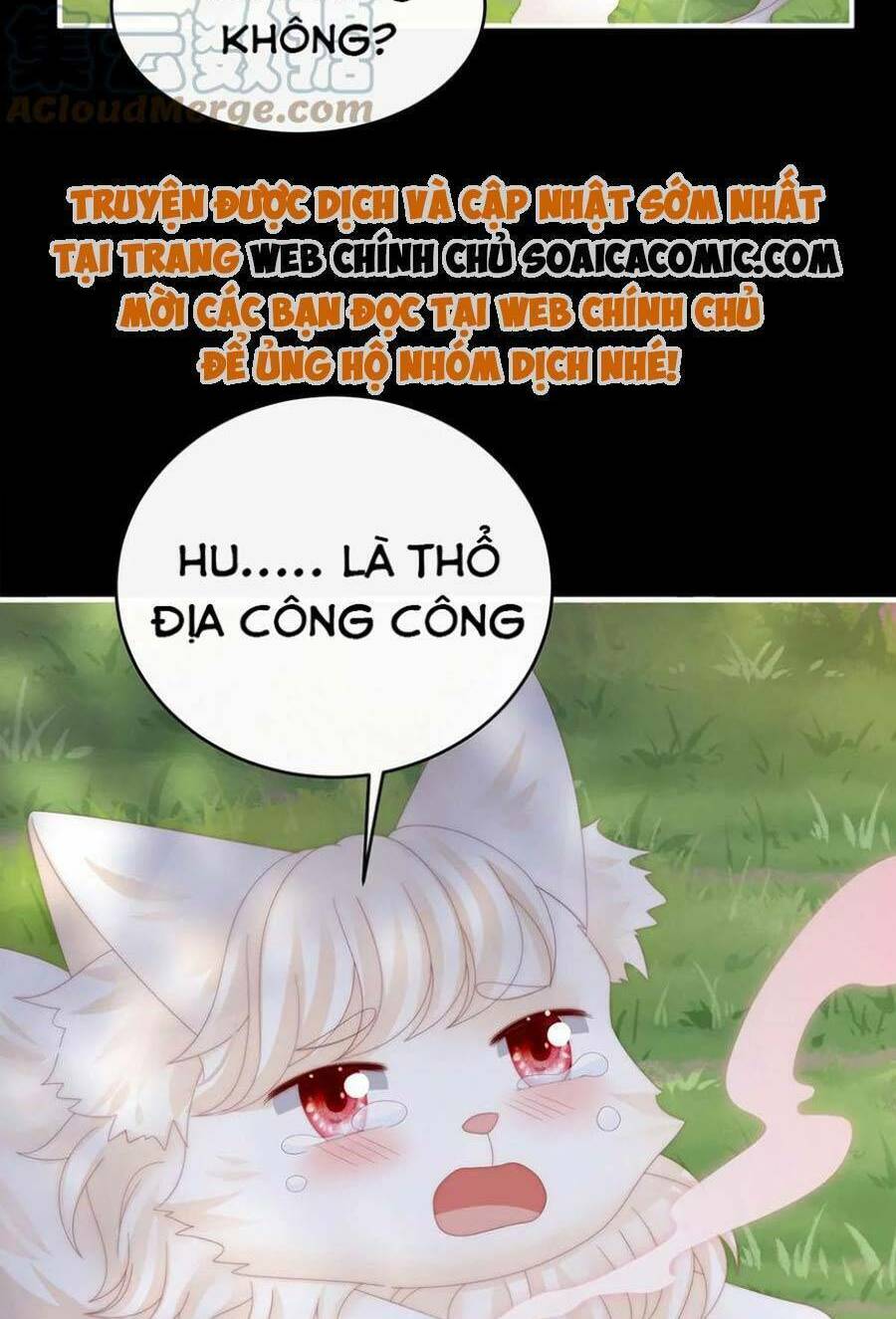 page_14.jpg