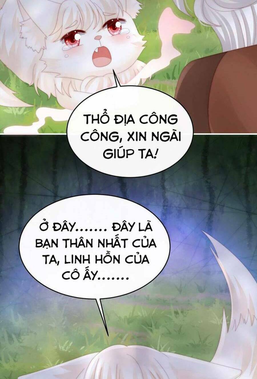 page_16.jpg
