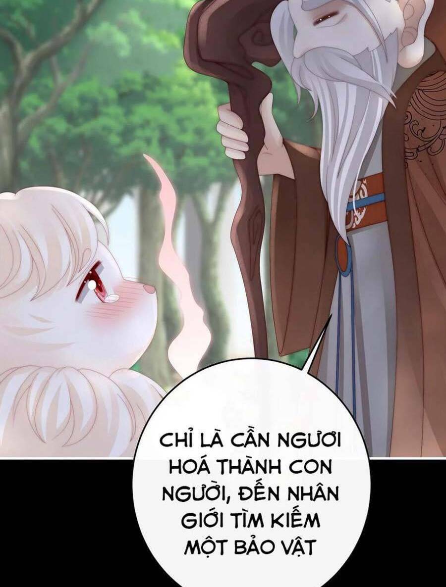 page_21.jpg