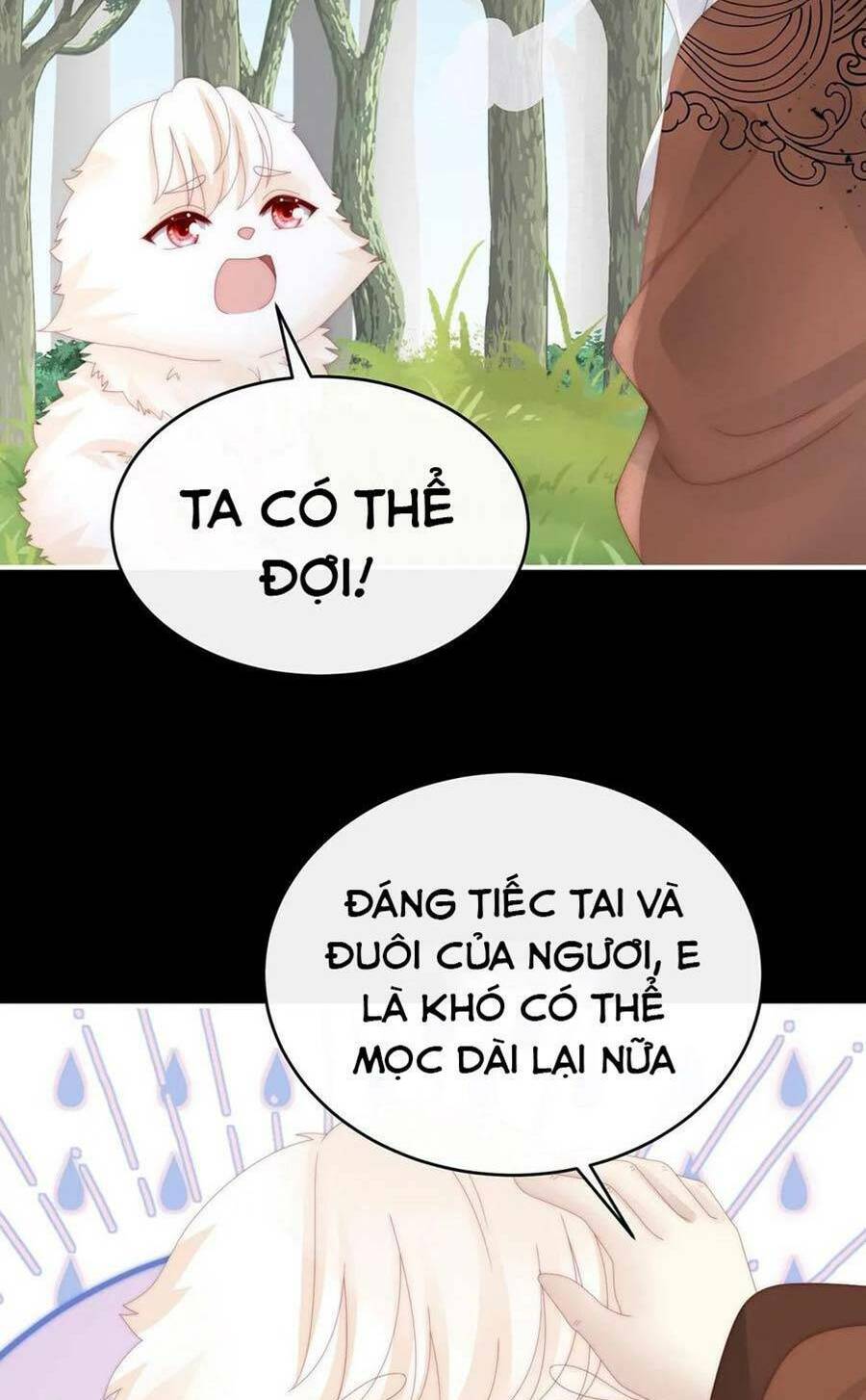 page_50.jpg