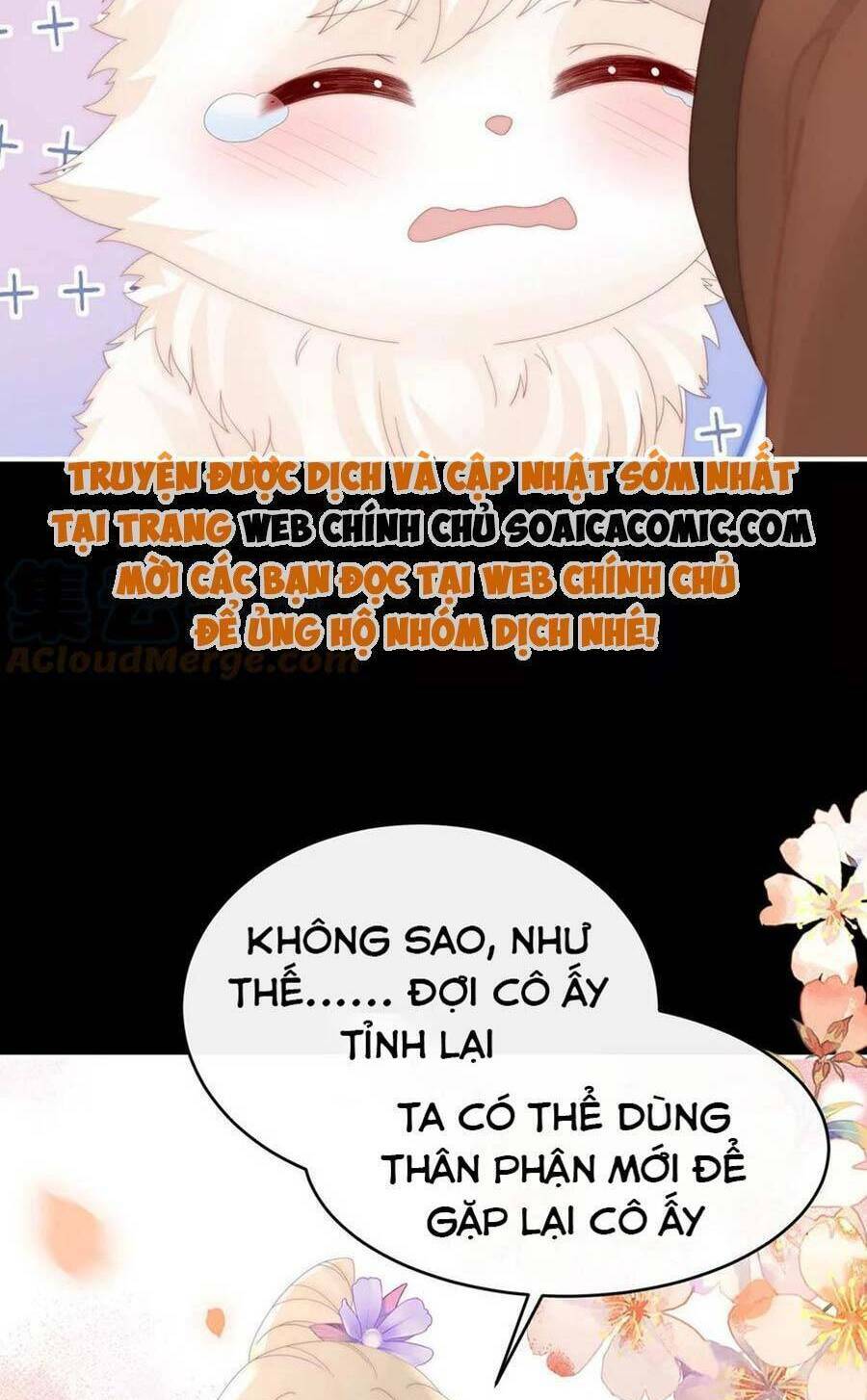 page_51.jpg