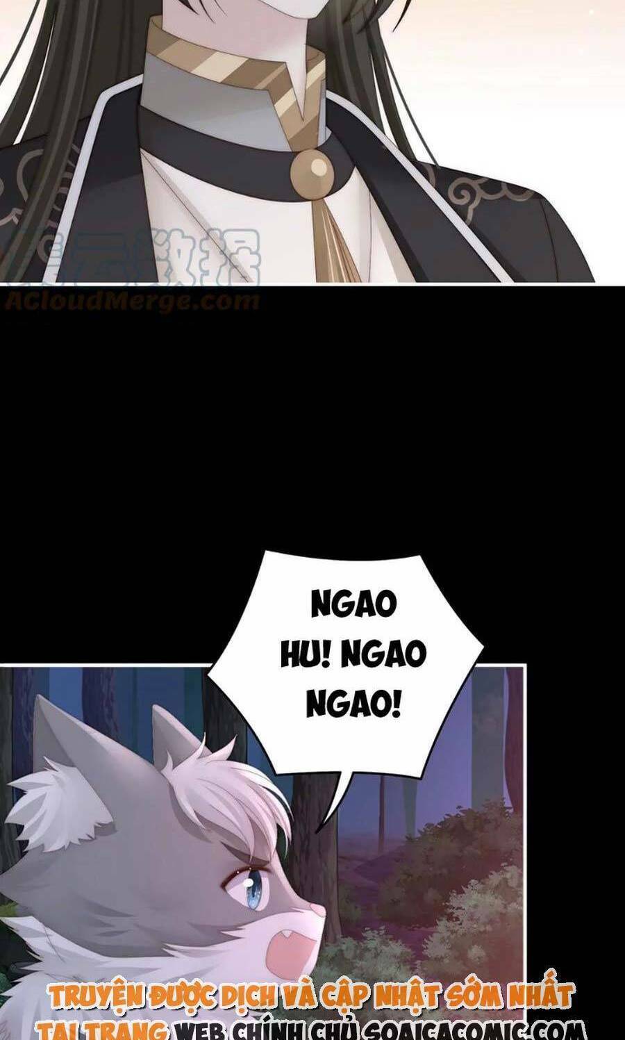 page_25.jpg