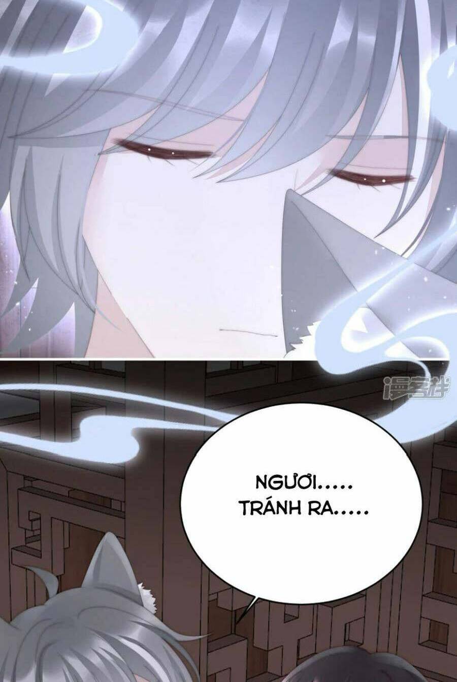 page_14.jpg