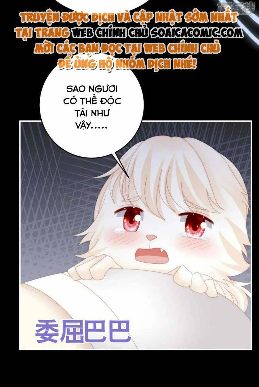 page_16.jpg