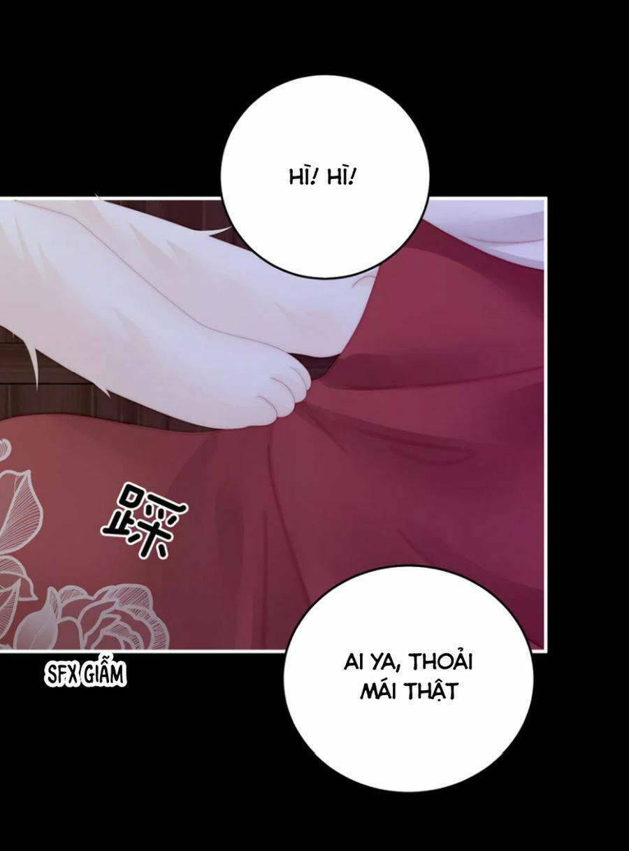 page_35.jpg