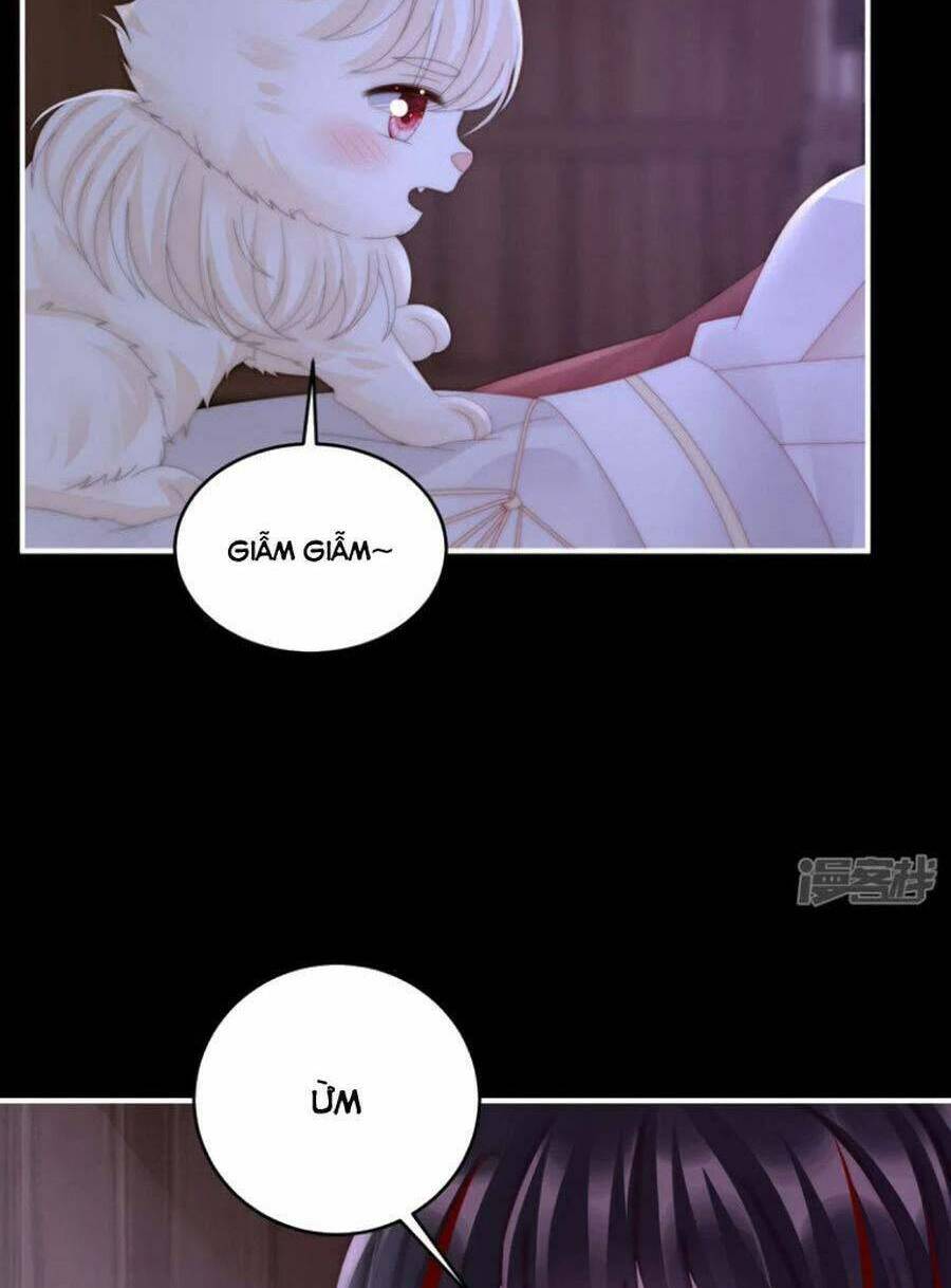 page_38.jpg