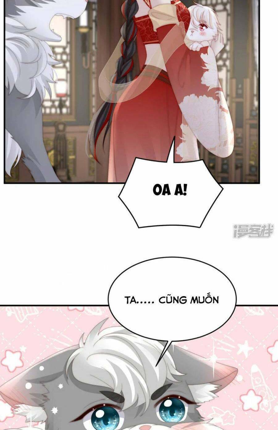 page_5.jpg