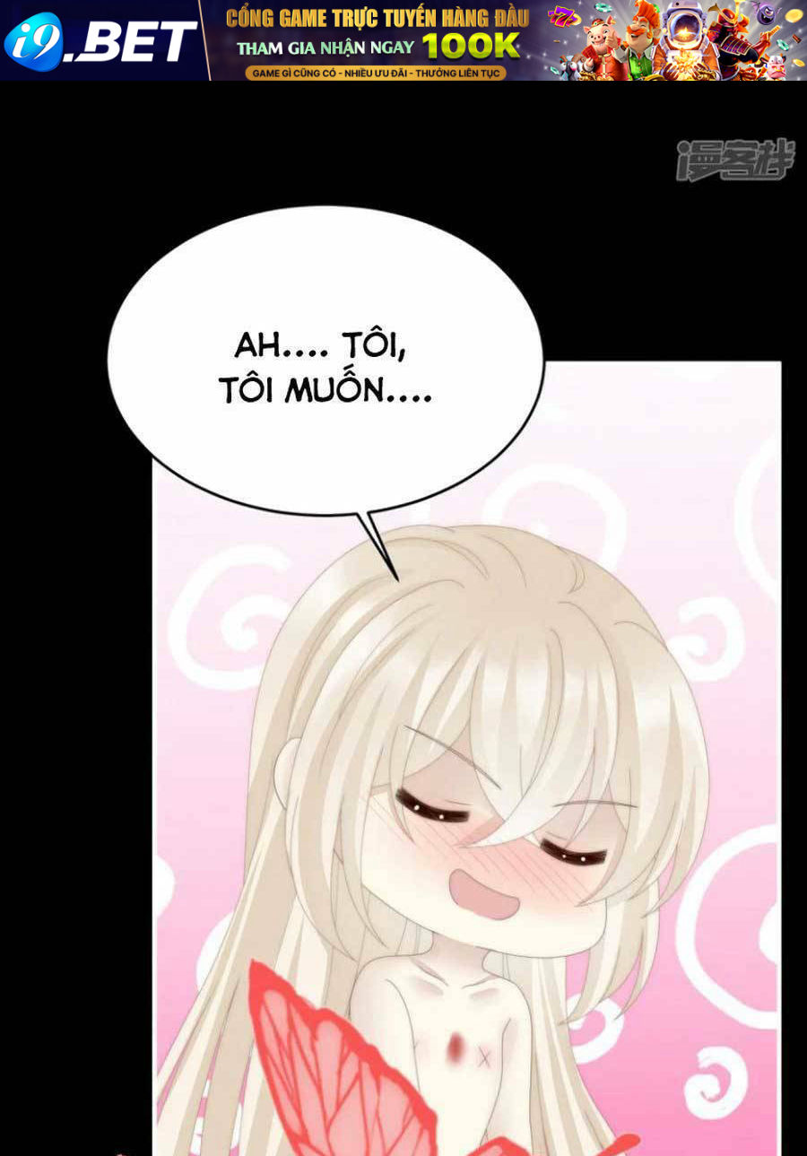 page_19.jpg